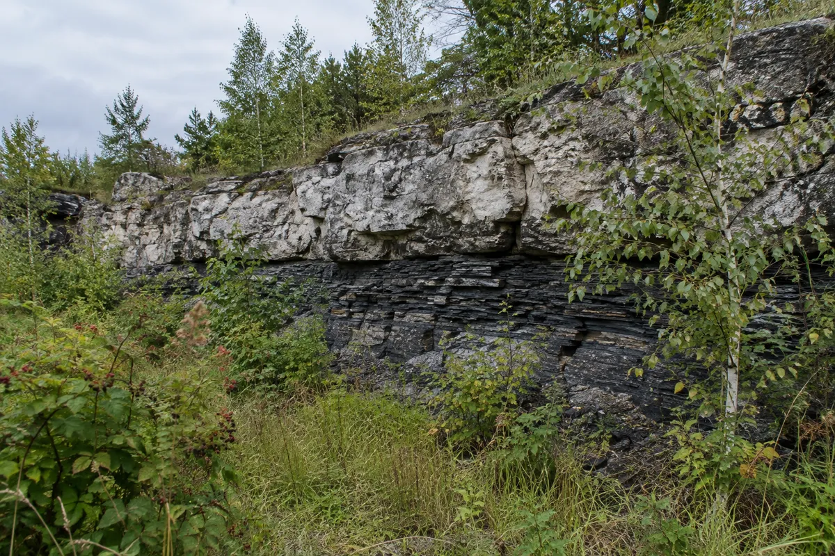 Mörka skikt av alunskiffer under kalksten i en bergvägg i ett gammalt stenbrott i Västergötland